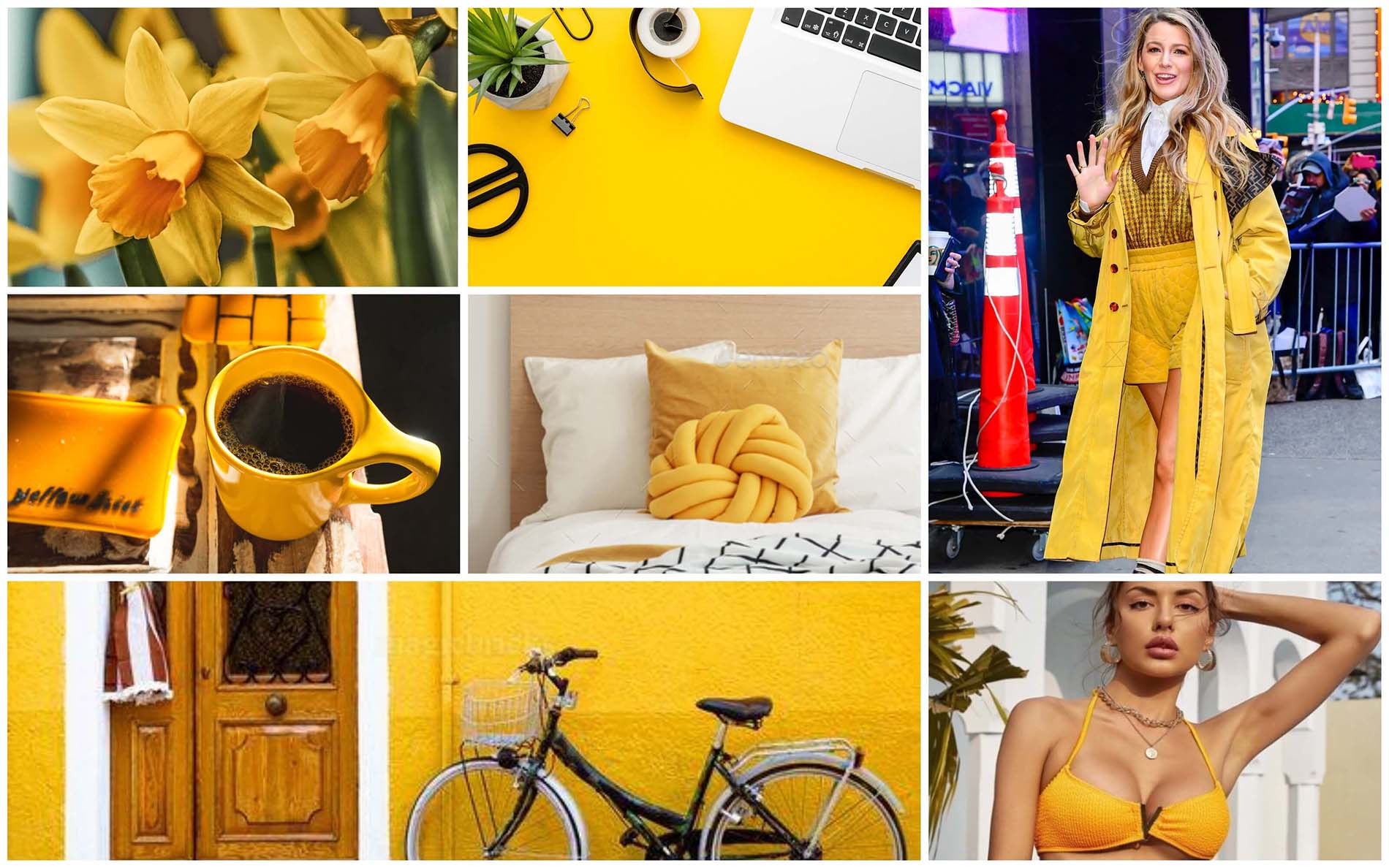 Теплый, насыщенный - желтый нарцисс Daffodil. Модные цвета и оттенки 2022 Пантон - палитра весна лета 2022 по версии института цвета