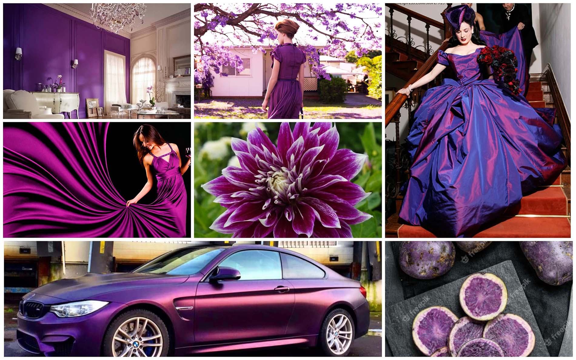Пурпурный георгин - Модные цвета и оттенки 2022 Пантон - палитра весна лета 2022 по версии института цвета