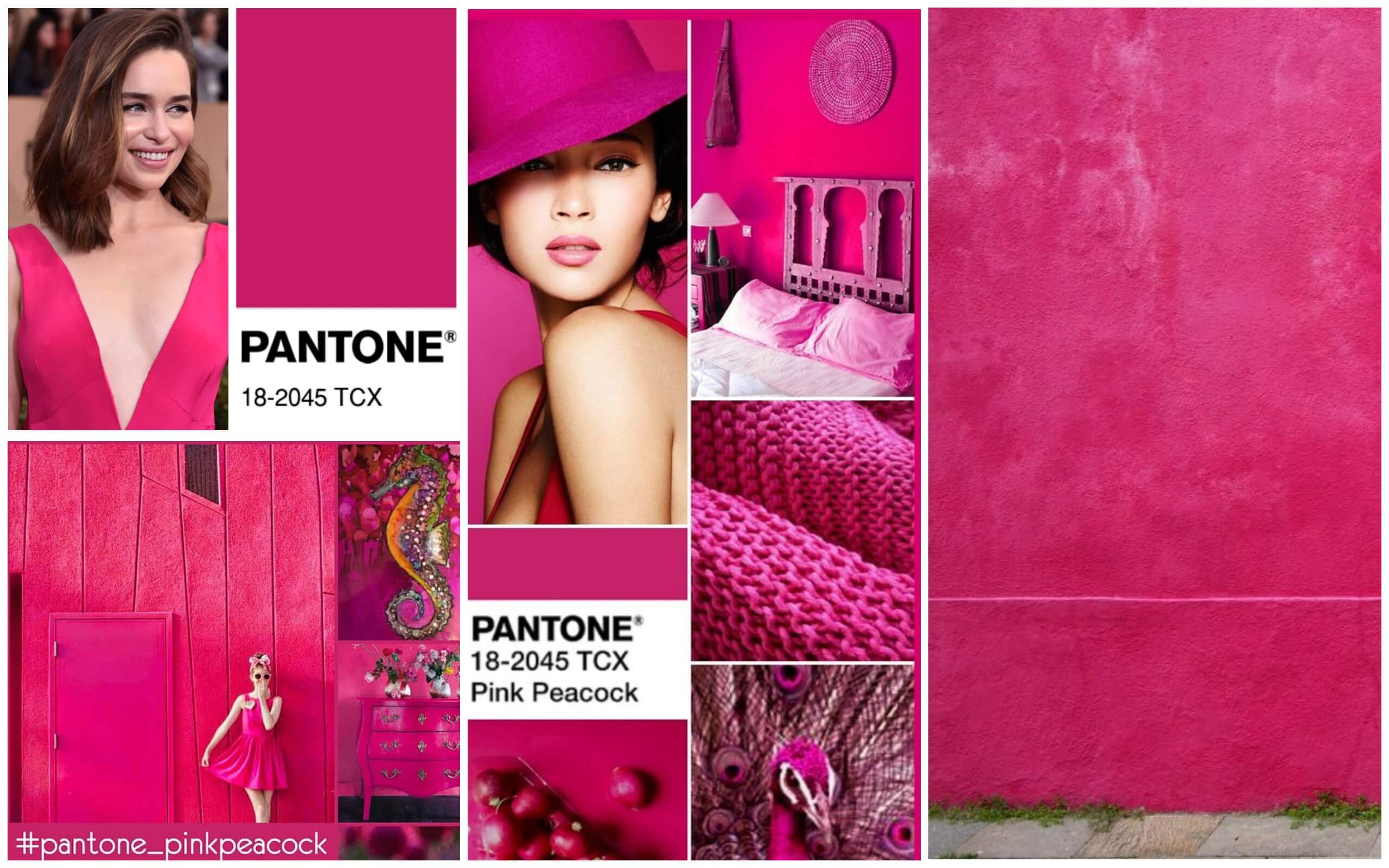 Розовый павлин - Модные цвета по версии Пантон 2019 весна лето от интернет магазина Тоталли