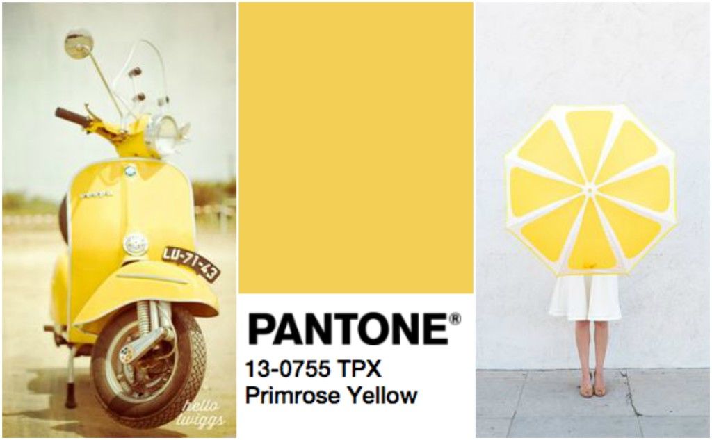 primrose-yellow-pantone-2017-cveta-totally